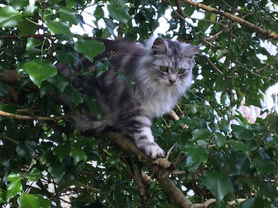 [Please allow image]