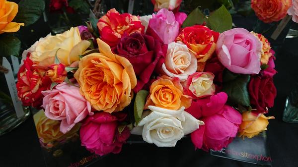An arrangment of colourful roses