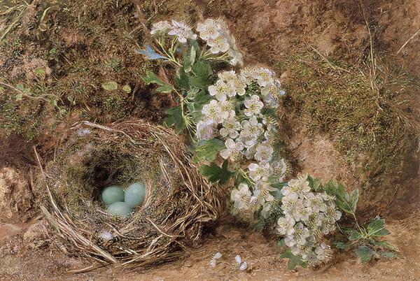 May blossom and a hedge sparrows nest William Henry Hunt 1845