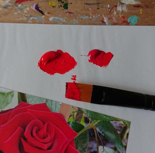 Red paint, paint brush and  red rose photo reference