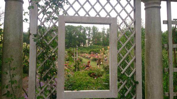 Picture frame trellis Cranford Rose Garden