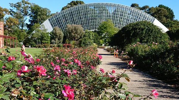 Palm House and the International Rose Garden Adelaide Botanic Garden
