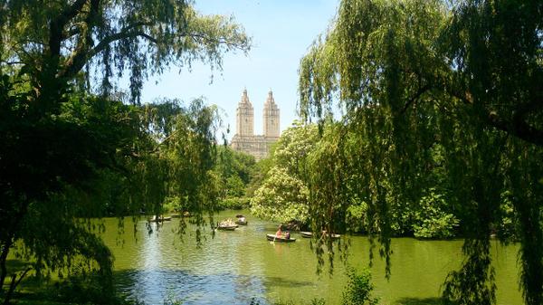 Boats of the lake in Central Park New York