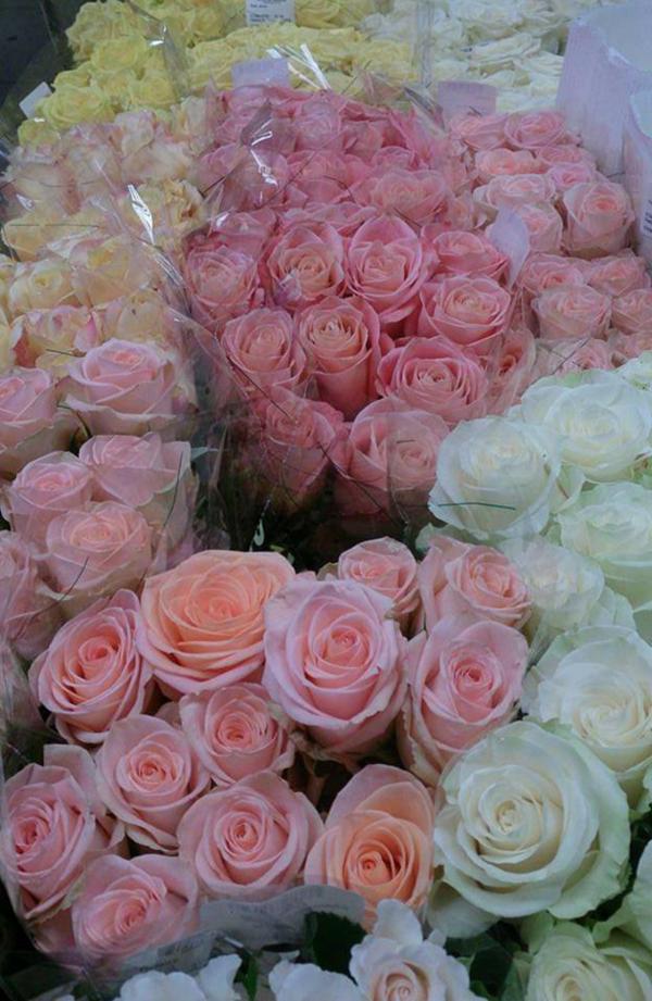 Bunches of pink, yellow and white rose at the New York Flower Market