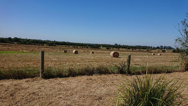 Paddocks with hay bales from Sages Cottage Farm, Baxter