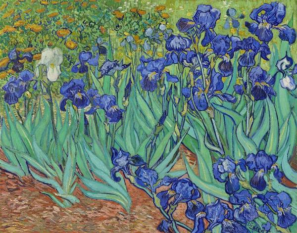 Irises - Vincent van Gogh 1889