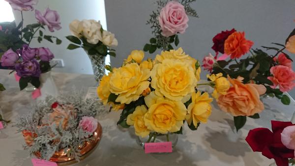 Arrangements of roses, yellow Gold Bunny roses in the centre