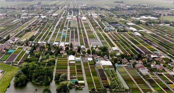 An aerial view of the nursery region of Boskoop in the Netherlands