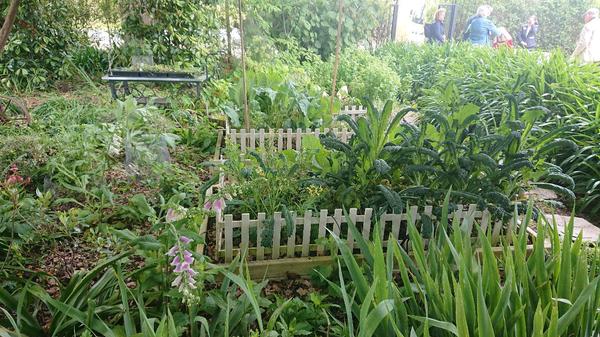 Vegetable plots with small picket fences