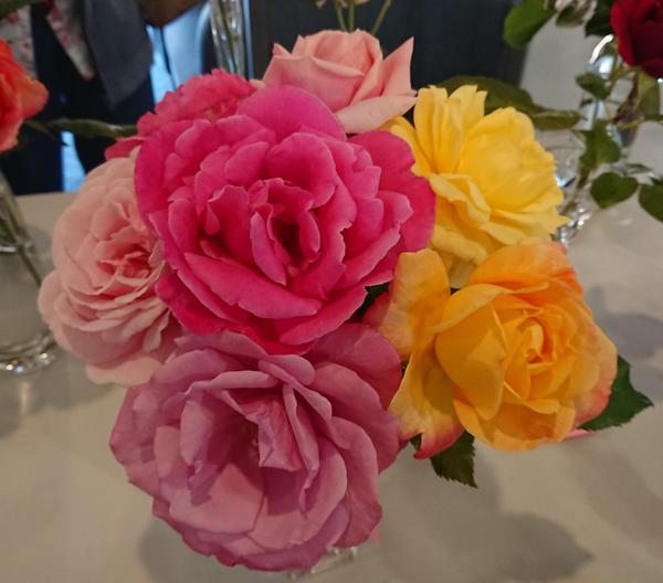 Bunch of pink, yellow and mauve roses