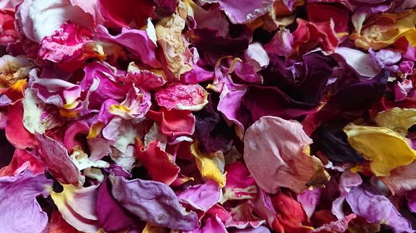 A colourful selection of dried rose petals.