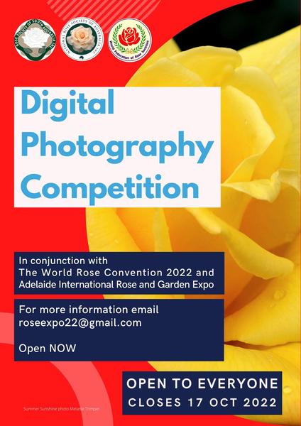 Yellow rose on poster about digital photography competition