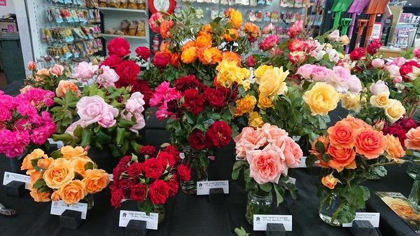 A display of roses at Gardenworld.