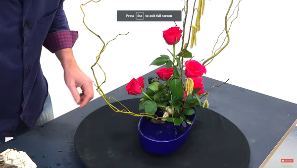 Red rose ikebana arrangement video