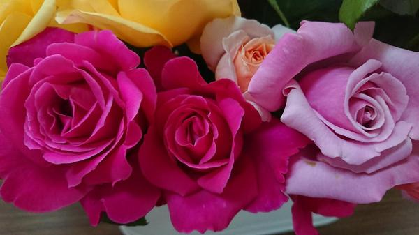 Deep pink, mauve, orange and yellow rose arrangement