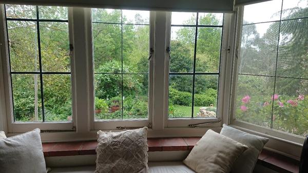 View out to the garden and cushions