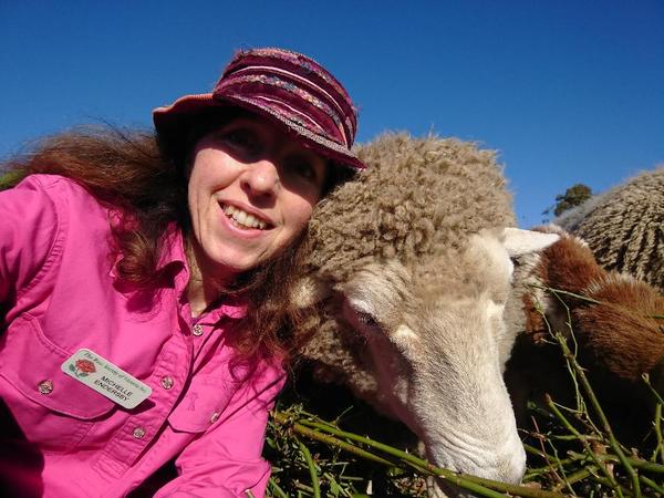 Rose Lady in pink shirt and fluffy headed sheep.