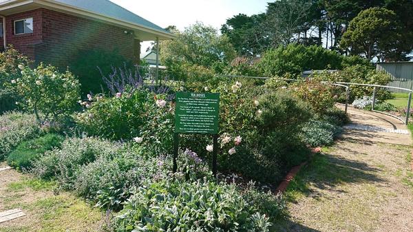 The Tea Rose bed at Mornington Botanical Rose Gardens