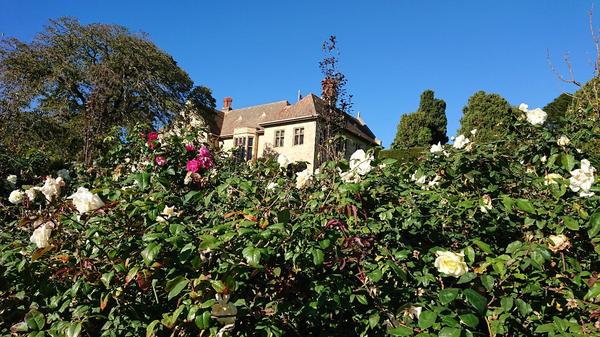 Rose Garden at Carrick Hill