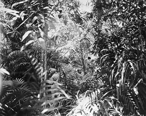 Bataan Jungle 1942