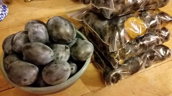 Italian prunes