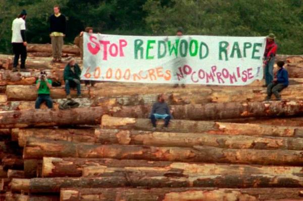 Anti-logging protesters hold up a sign as they stand on lumber inside the Pacific Lumber facility in Carlotta, Calif., Tuesday morning, Oct. 1, 1996