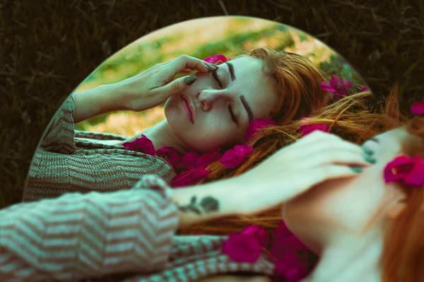 The Precognitive Dream