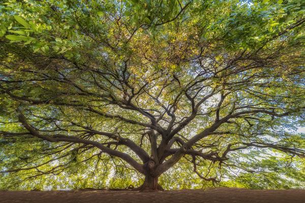 Grounding