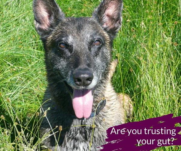 A Powerful Personal Story & Trusting Your Gut Sense