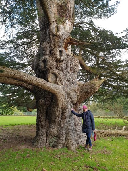 Liesel at a big tree