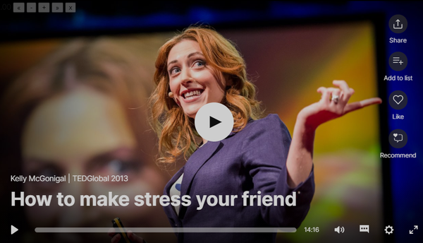 Make Stress your Friend