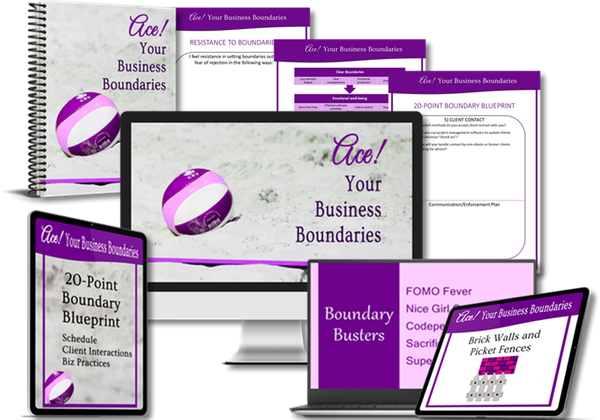 mockup graphic for ace your business boundaries course