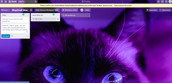 purple cat