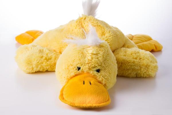 tired plush duck