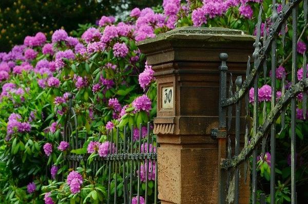fence boundary