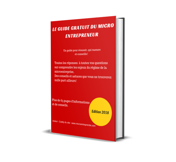 Micro Entrepreneur Comment Faire Une Facture Correcte