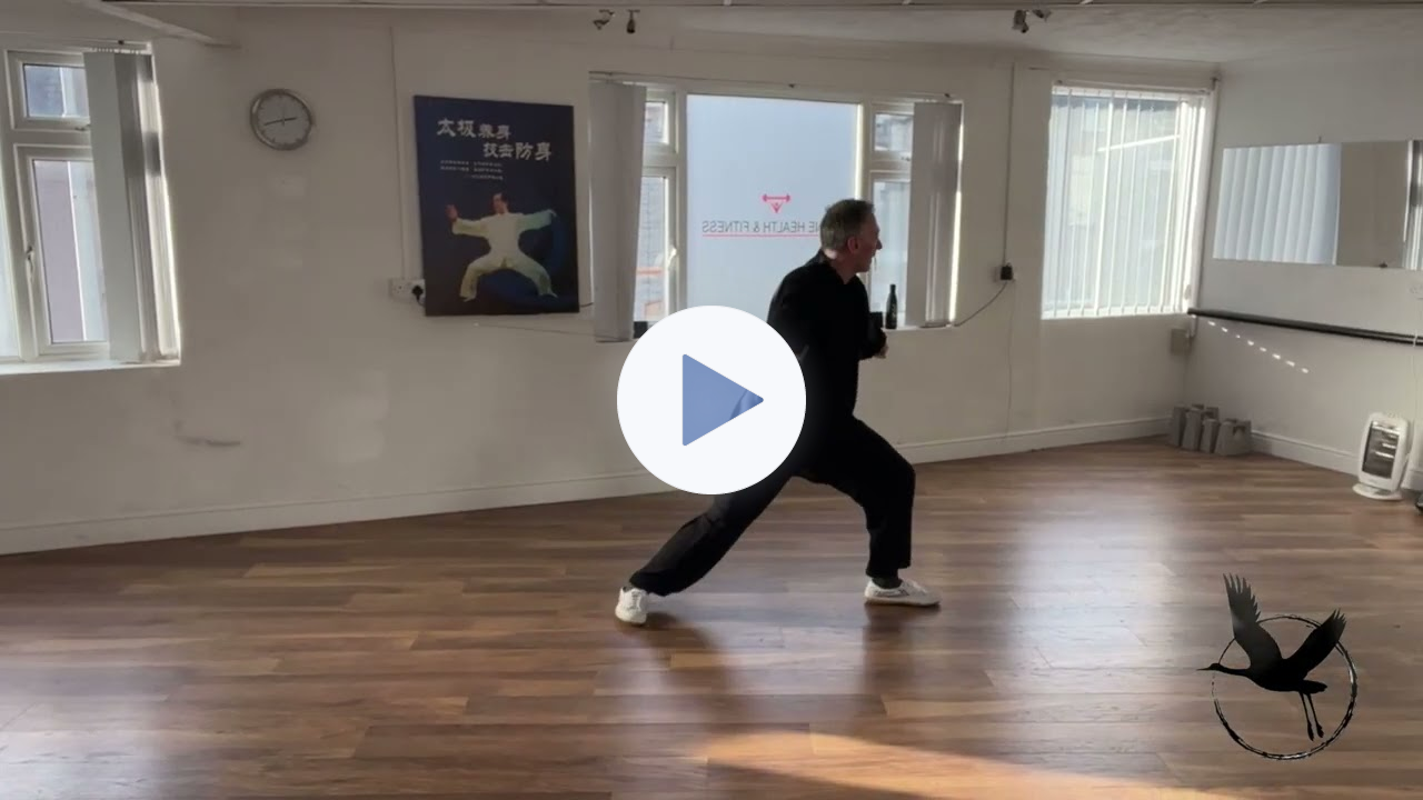Yang Style Taiji 56 Sword