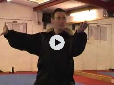 Taiji hand, sword, sanshou