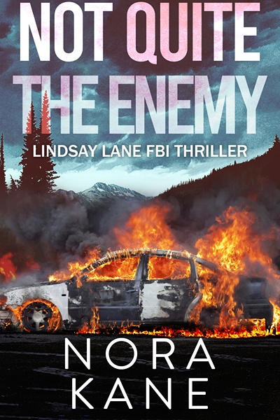 Not Quite the Enemy on Amazon