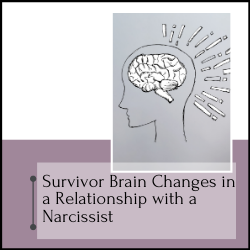 Brain Changes After Abuse