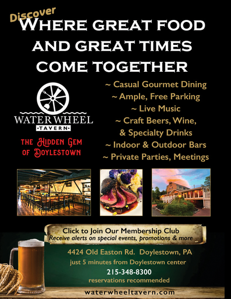 Water Wheel Graphic