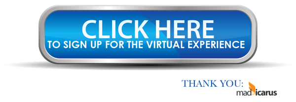 Virtual FilmFest Access