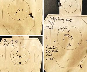 Making Sense of Shotgun Patterns