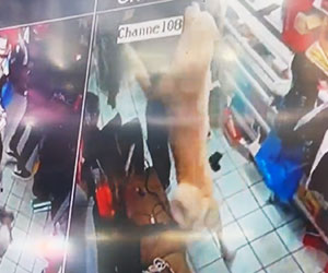 Dog Named 'Bullet' Gives Clerk Time to Draw and Fire at 2 Armed Robbers