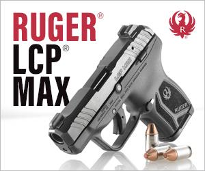 LCP MAX