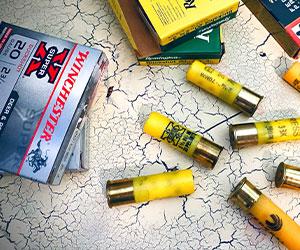 The Problem with 20 Gauge for Home Defense