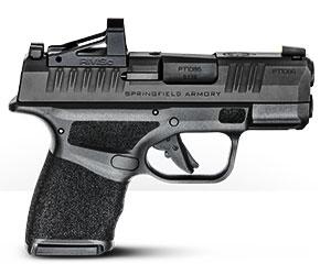 The Hellcat from Springfield Armory | 11+1