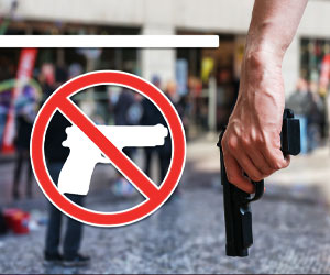 Buffalo New York Gun Free Zones = Kill Zones