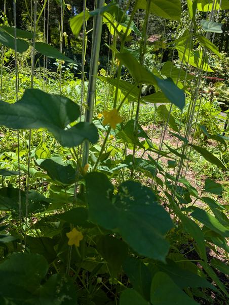 Bean Tower