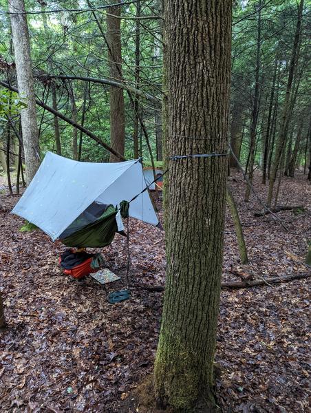 Backpacking Hammock